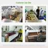Brush root vegetable washing machine fish scaler machine yam potato peeling machine ginger taro peeler