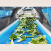 Large intelligent vortex fruit and vegetable cleaning and dehydration production line equipment
