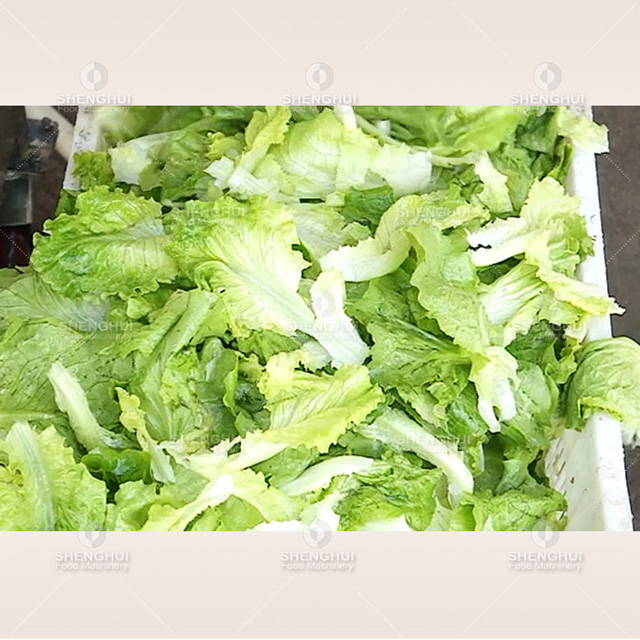 Automatic ozone vegetable washing machine air bubble fruit cleaning machinery mango passion fruit washer lettuce cleaner