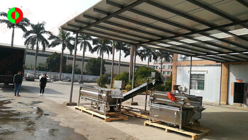 Guangdong Jiangmen customer ordered eddy current vegetable washing machine and bubble vegetable washing machine for shipment